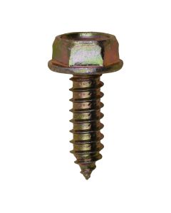 AVCAP16960 image(0) - AUVECO PAK M6-1.81 X 20MM LICENSE PLATE SCREWS