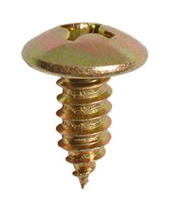 AUVECO AUVECOPAK M6-1.81 X 15 MM LICENSE PLATE SCREW