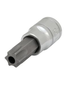 WLMW38955 image(0) - Wilmar Corp. / Performance Tool 3/8" Drive T55 TR Star Bit Socket