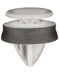 AVC22269 image(0) - AUVECO FORD MOULDING RETAINER WITH SEALER