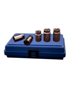 Assenmacher EXTRACTOR SET 5 PIECE METRIC