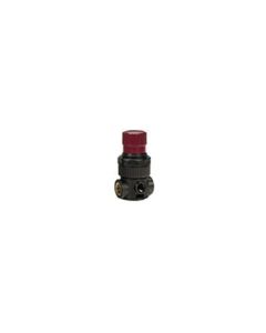 Reading Technologies  MR-1 HVLP Mini Regulator, 1/4 in Inlet/Outlet, 200 psi