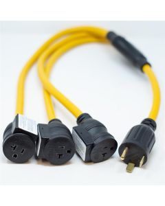 Firman Power Cord TT-30P to 3x5-20R 3ft Extension 10 AWG