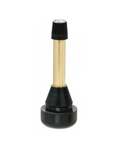 TMRTR802HP-50 image(0) - Tire Mechanic's Resource TR802HP High Pressure Snap-In Valves with Brass Stem (Pack of 50)