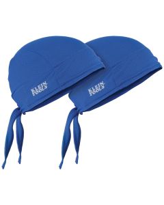 Klein Tools Safety Glasses Hard Case