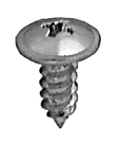 AVCAP2805 image(0) - AUVECO PAK PHIL WSHR HS T.S., #8 X 7/16, ZINC