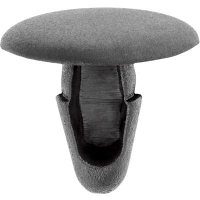 AVCAP14736 image(0) - AUVECO PAK TOYOTA RETAINING CLIPS