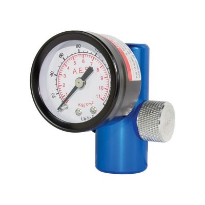 AES880 image(0) - AES Industries 880 Air Regulator with Gauge, 1/4 in MNPT Inlet, 1/4 in FNPT Outlet, 160 psi, Aluminum
