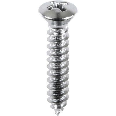 AVCAP2730 image(0) - AUVECO AP2730 Phillips Oval Head A/AB Point Tapping Screw, #10 Screw x 1 in L x #8 Head, Chrome