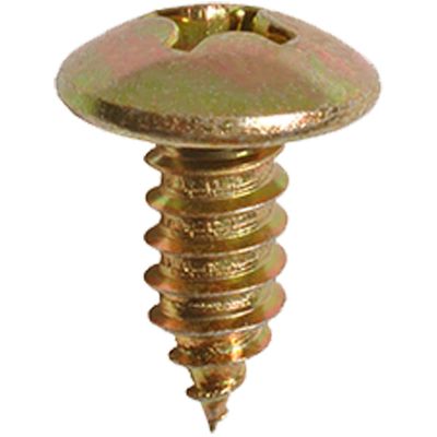 AVCAP17098 image(0) - AUVECO AUVECOPAK M6-1.81 X 15 MM LICENSE PLATE SCREW