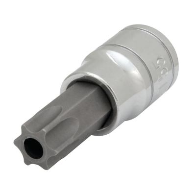 WLMW38955 image(0) - Wilmar Corp. / Performance Tool 3/8" Drive T55 TR Star Bit Socket