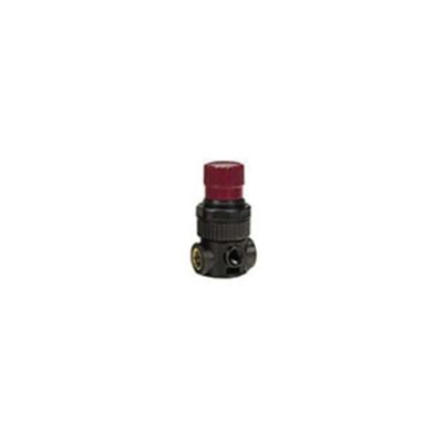 RTCMR1 image(0) - Reading Technologies  MR-1 HVLP Mini Regulator, 1/4 in Inlet/Outlet, 200 psi