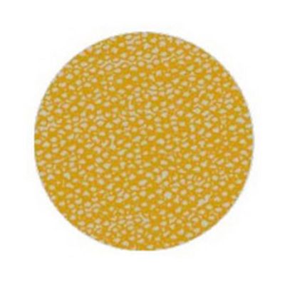 MRKOS570003 image(0) - Mirka Abrasives OSP 3 OS-570-003 OS Series Closed Coated Sanding Sheet Roll, 2-3/4 in W x 33 ft L