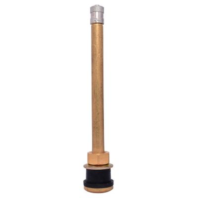 DILTR573-100 image(1) - Dill Air Controls Dill TR573 Tire Valve - Pack of 100