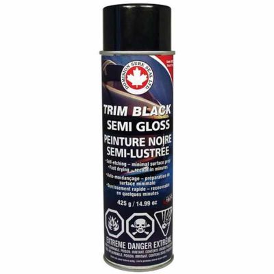 DOMSTW1 image(0) - Dominion Sure Seal 24003 Trim Paint, 15 oz Aerosol Can, Aerosol, Semi Gloss Black
