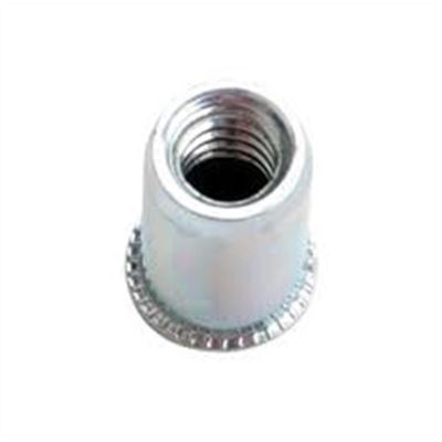 MAR47455 image(0) - Marson NUT SERT POLY 1/4"40/BAG