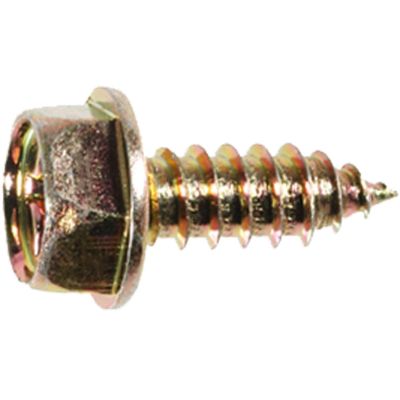AVCAP17980 image(0) - AUVECO AUVECOPAK M6-1.81 X 16MM LICENSE PLATE SCREW